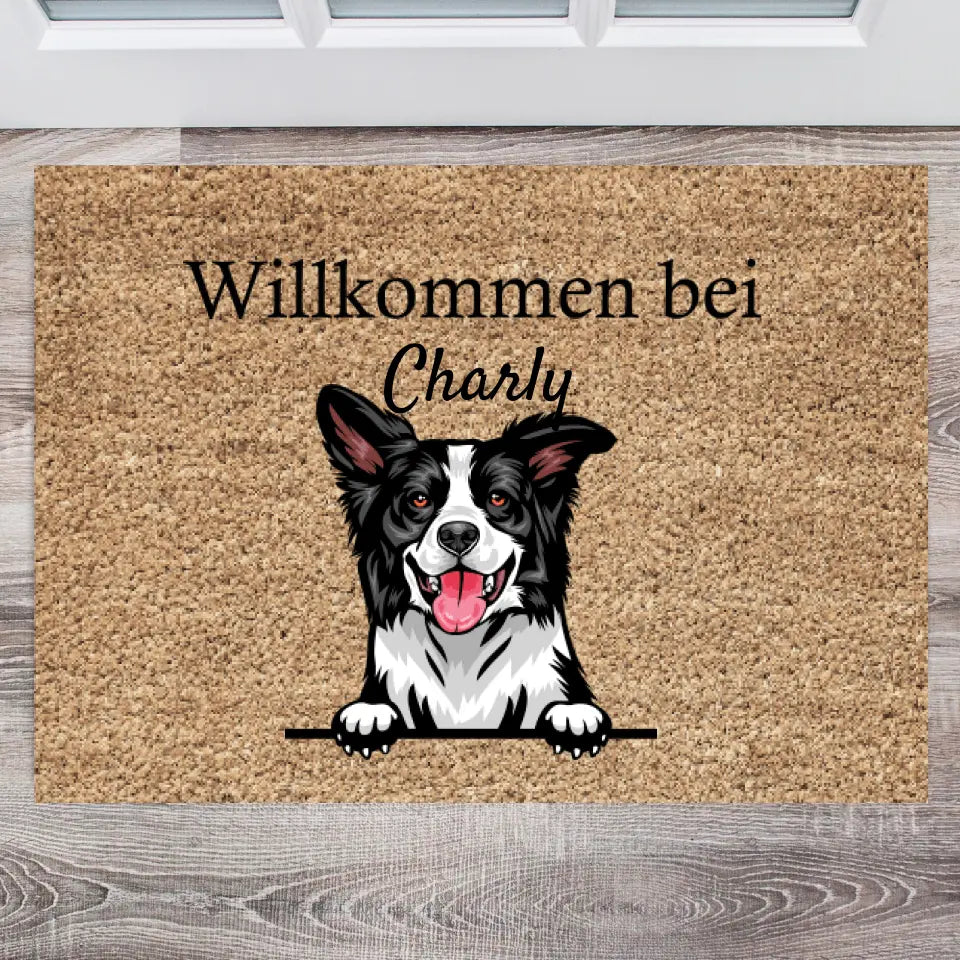 Välkommen till - Personaliserad Dörrmatta Hund & katt (1-4 husdjur)