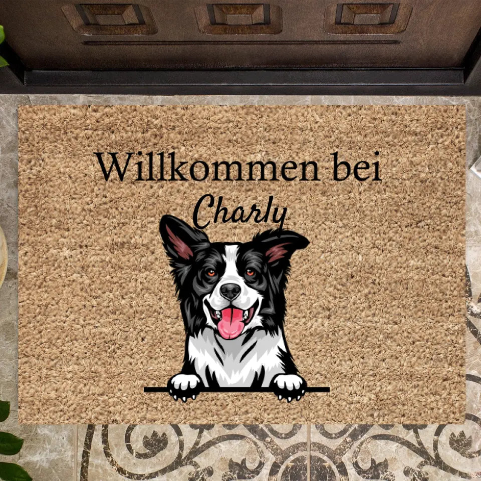 Välkommen till - Personaliserad Dörrmatta Hund & katt (1-4 husdjur)
