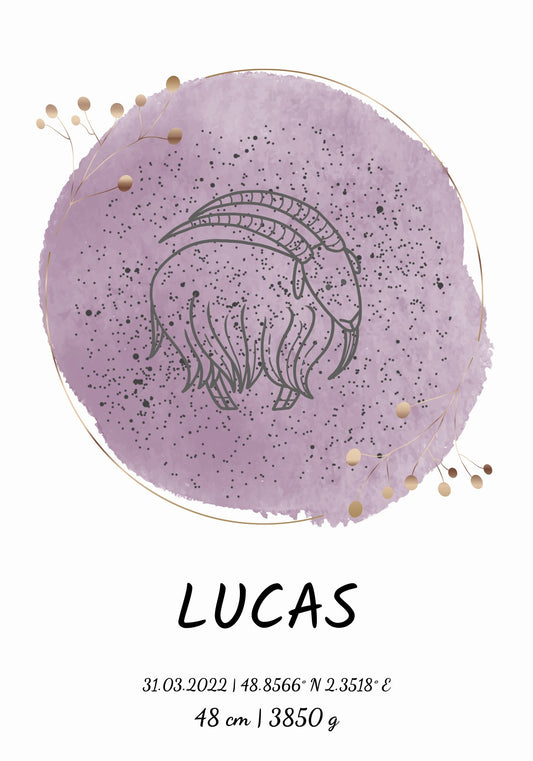 Zodiac Birth Poster - Personaliserad Poster